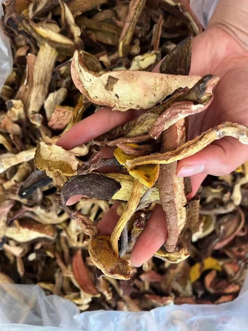 优质牛肝菌一手货源质量保证现货秒发价格优惠