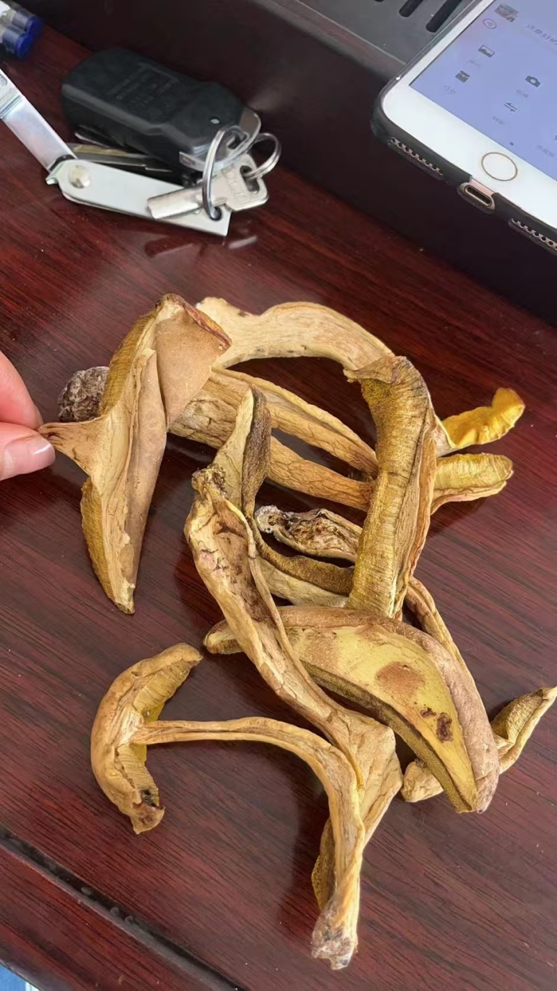 优质牛肝菌一手货源质量保证现货秒发价格优惠