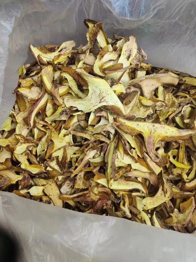 优质牛肝菌一手货源质量保证现货秒发价格优惠