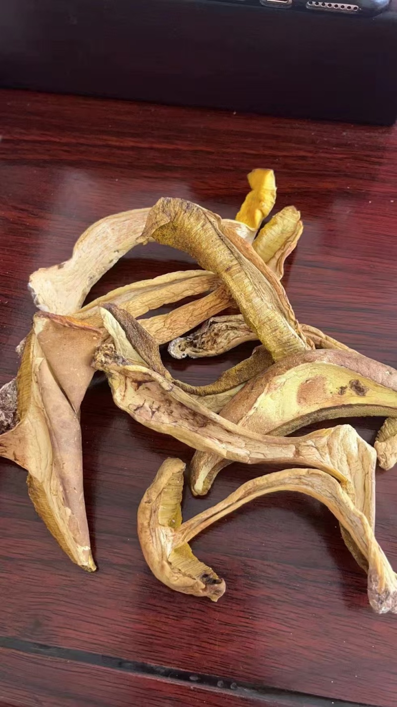 优质牛肝菌一手货源质量保证现货秒发价格优惠