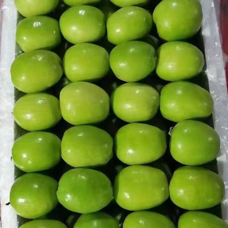 脆甜可口，糖度高