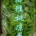 猕猴桃干奇异果猕猴桃果干凉果蜜饯陕西绿心散装特产