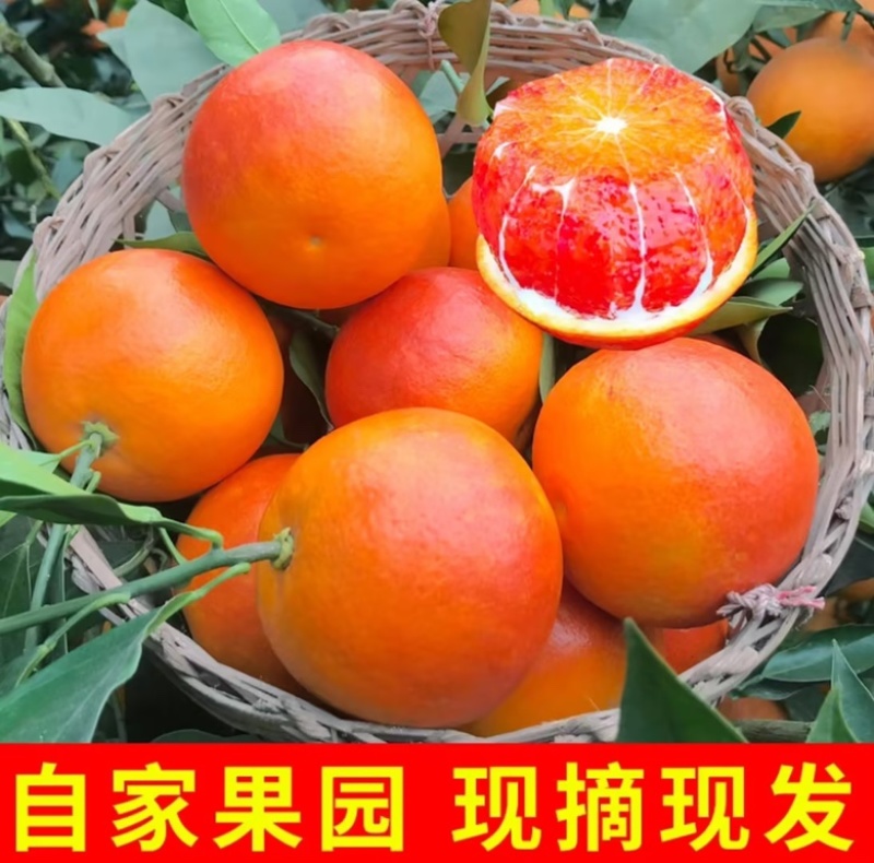 塔罗科血橙，产地一手货，支持电商，市场，商超批发