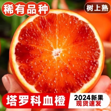 塔罗科血橙,产地一手货,支持电商,市场,商超批发