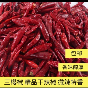 鄢陵县干辣椒大量有货价格合理欢迎来电咨询