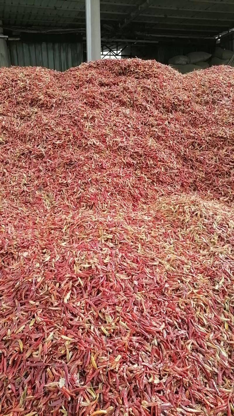 鄢陵县干辣椒大量有货价格合理欢迎来电咨询