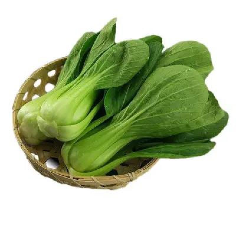 油菜精品