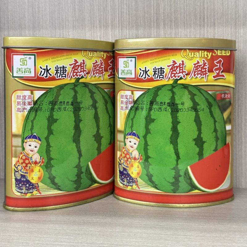 善高冰糖麒麟王西瓜种子改良8424替代美都品种抗裂早熟超