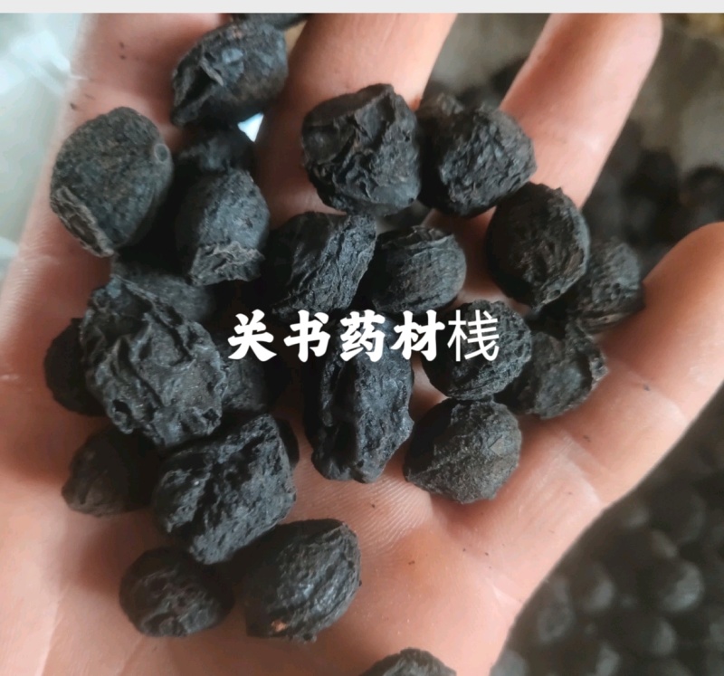 乌梅精选大乌梅关书药业批发中药材规格齐全