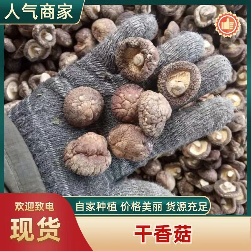 河南泌阳干香菇，肉质淳厚，朵形规正，规格齐全。
