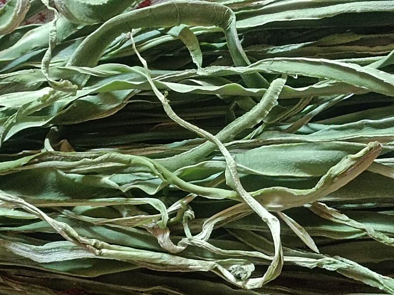 云南精品贡菜，贡菜干，现货直发新鲜供应欢迎来电