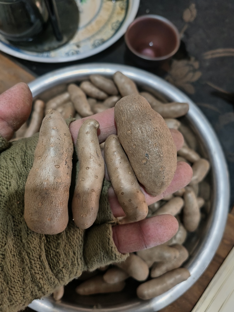 小白嘴山药豆，口感好，面大，常年批发零售一包50斤