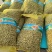 小白嘴山药豆，口感好，面大，常年批发零售一包50斤