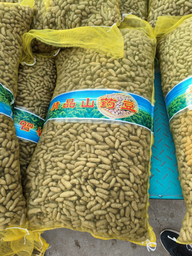 小白嘴山药豆，口感好，面大，常年批发零售一包50斤