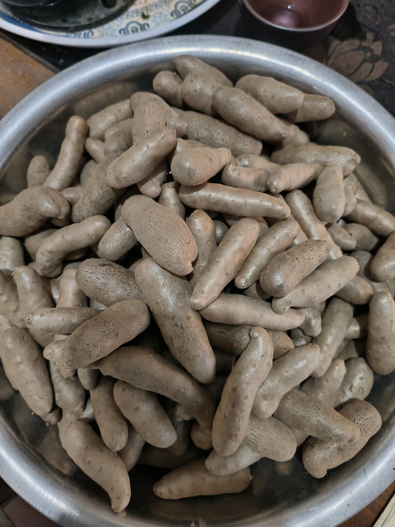 小白嘴山药豆，口感好，面大，常年批发零售一包50斤
