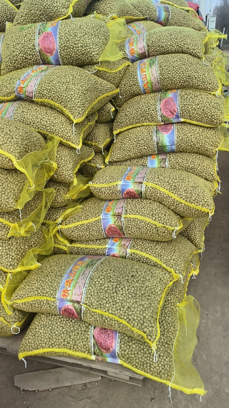青州白玉山药豆原产地直销，规格齐全，大量批发零售