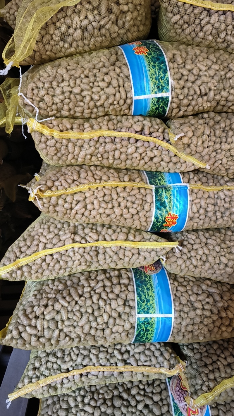 青州白玉山药豆原产地直销，规格齐全，大量批发零售