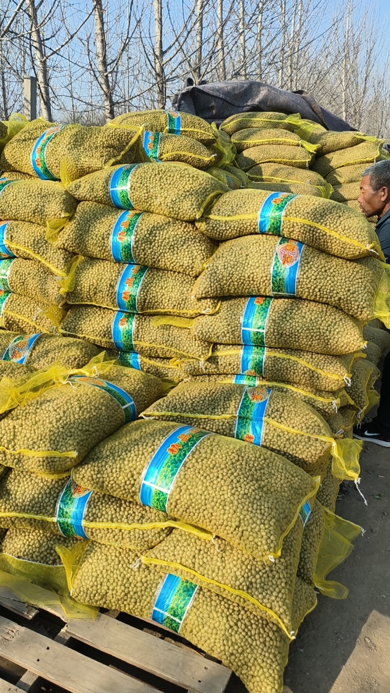 青州白玉山药豆原产地直销，规格齐全，大量批发零售