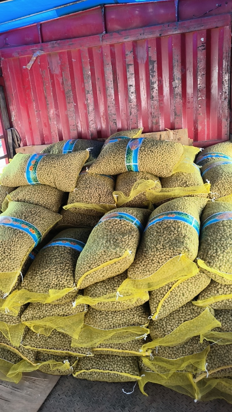 青州白玉山药豆原产地直销，规格齐全，大量批发零售