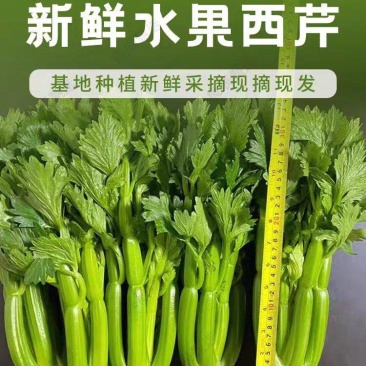 水果芹菜