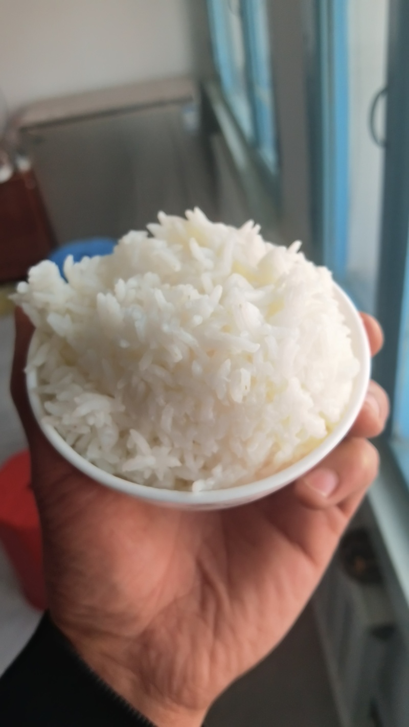 东北长粒香珍珠米新米保质保量欢迎来电洽谈
