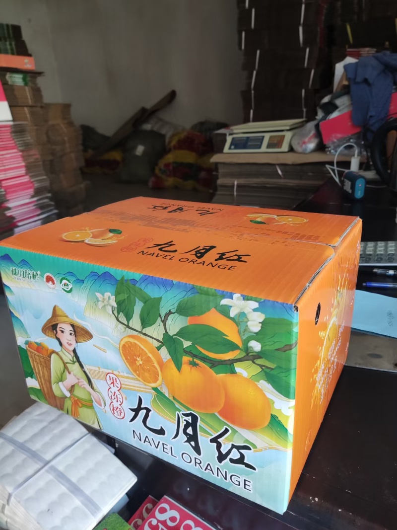 【实力商家】九月红果冻橙脐橙果园看货订货支持视频看货诚信代办