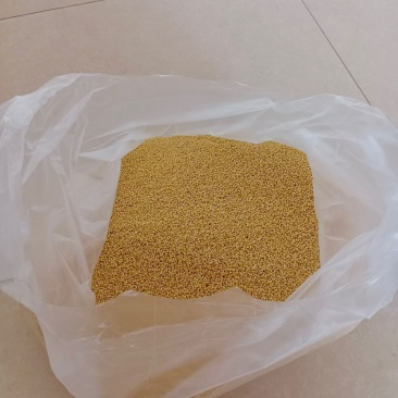 自家农产品黄小米无任何添加害，健康食材，全家喝的放心