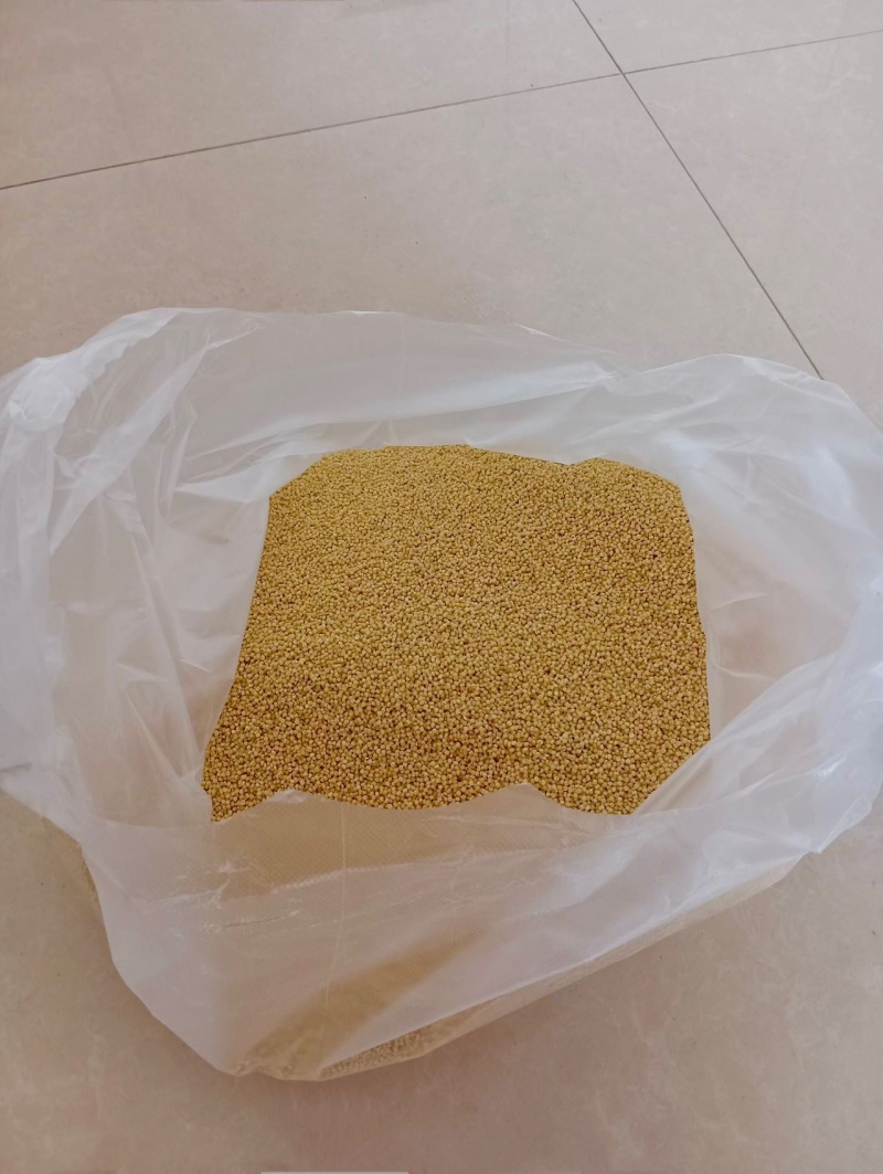 自家农产品黄小米无任何添加害，健康食材，全家喝的放心