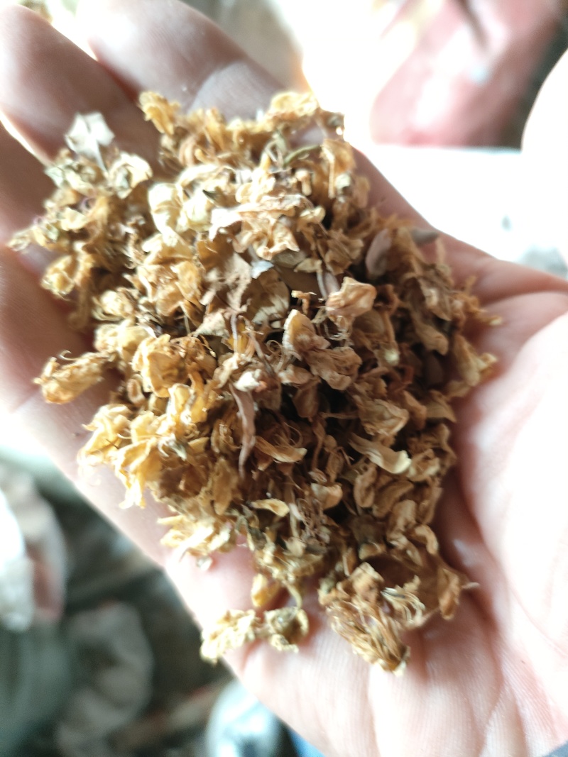 推荐鲜茵陈山野菜营养价值高现采现发品质保障欢迎联系