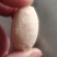 狗宝