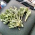 推荐鲜茵陈山野菜营养价值高现采现发品质保障欢迎联系