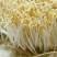 黄豆芽、绿豆芽