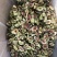无花果茶片