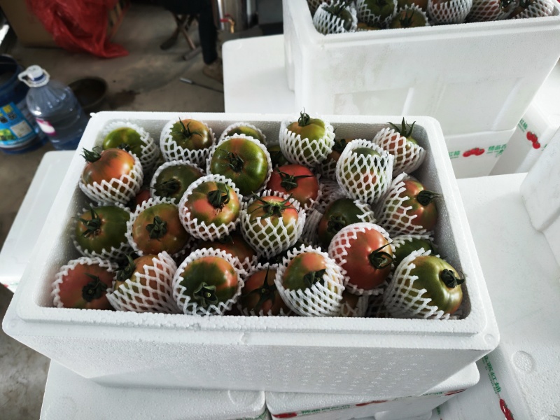 草莓西红柿