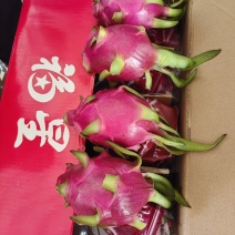 火龙果