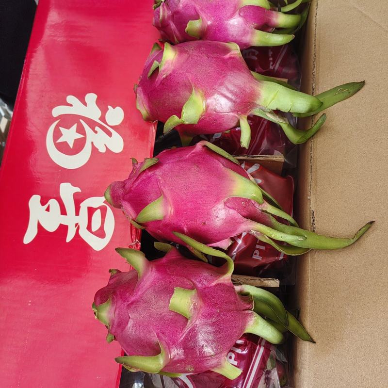 火龙果