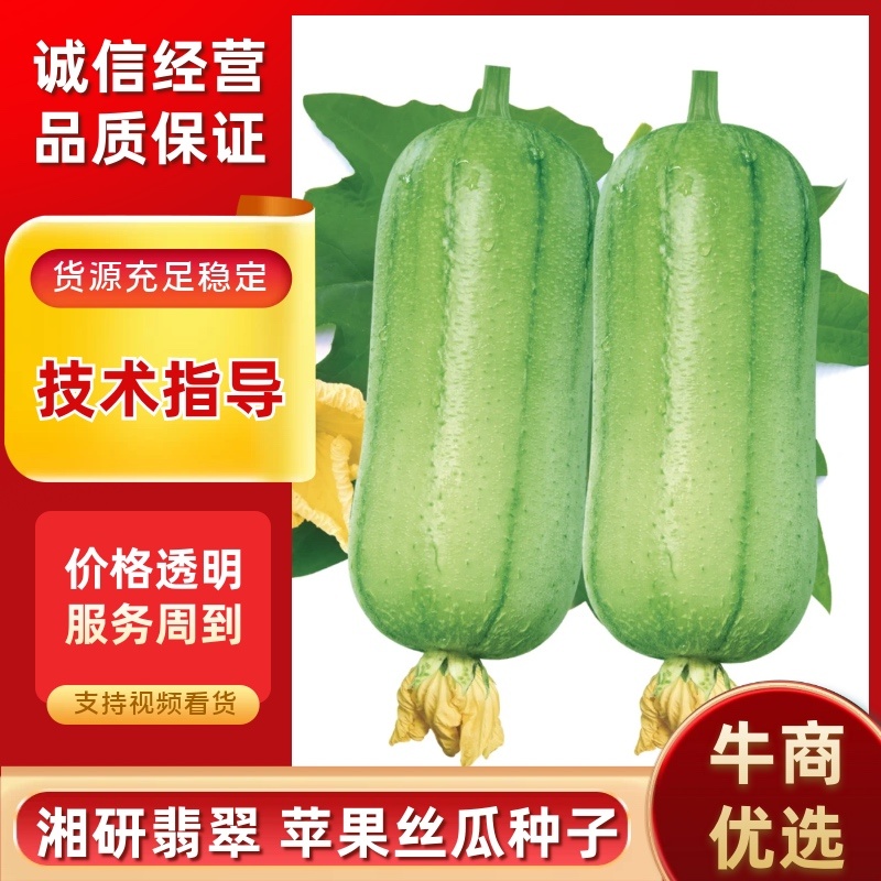 湘研翡翠中早熟瓜型匀直瓜蒂小口感佳芽率好！