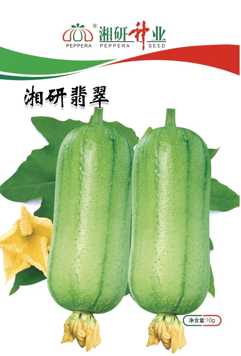 湘研翡翠中早熟瓜型匀直瓜蒂小口感佳芽率好！