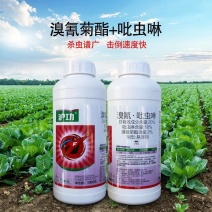 上海沪联20%溴氰菊酯吡虫啉桃蚜虫正品老牌子杀虫剂农用药