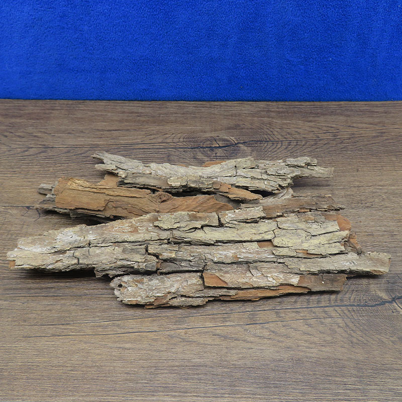 枣树皮冷背奇药材批发500克