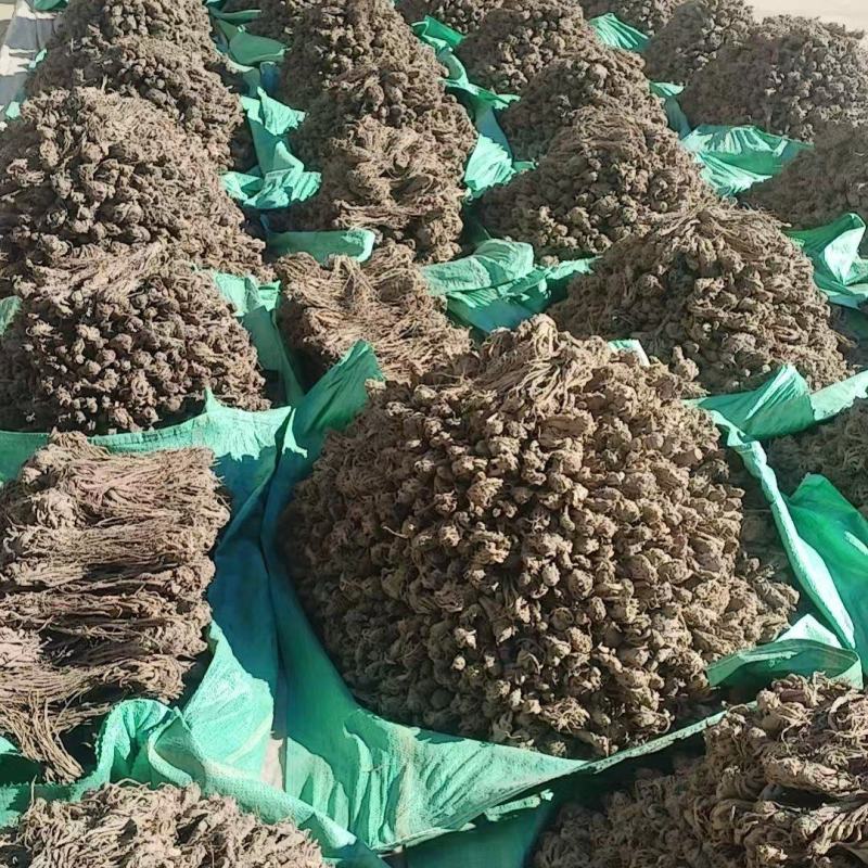 **当归随时可聊正品保障现货秒发