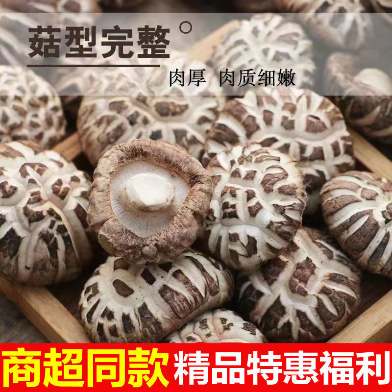 2024新货花菇肉厚脱水干货正宗古田花菇冬菇干花菇