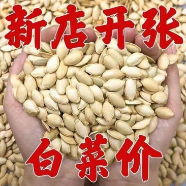 正宗内蒙大颗粒纸皮南瓜子现炒椒盐原味南瓜籽批