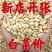 正宗内蒙大颗粒纸皮南瓜子现炒椒盐原味南瓜籽批