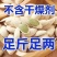 正宗内蒙大颗粒纸皮南瓜子现炒椒盐原味南瓜籽批