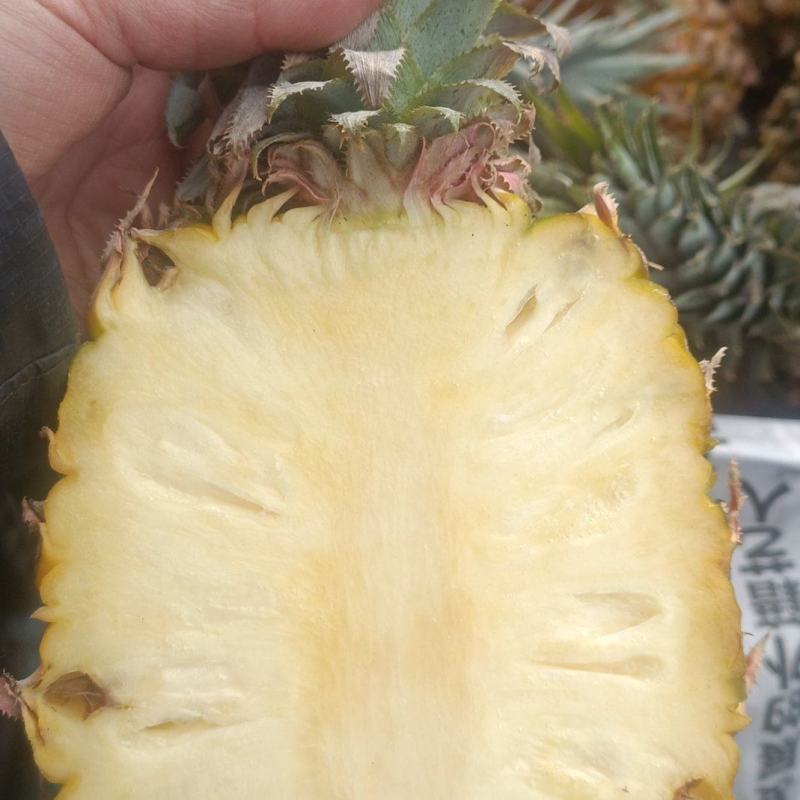 菠萝