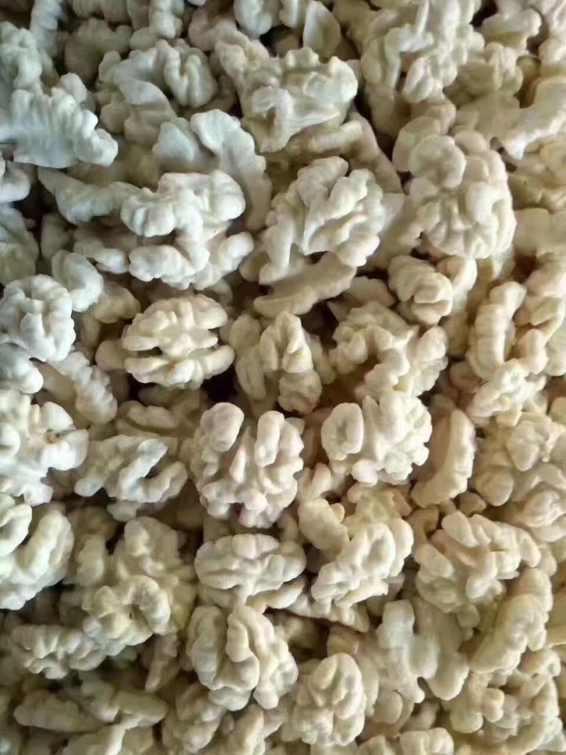 陕西商洛胜源果仁厂量产地直发，量大，欢迎老板来电咨询