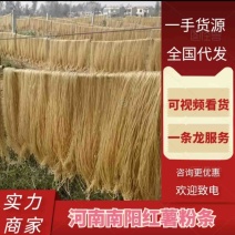 南阳红薯粉条产地直发货源充足价格优惠