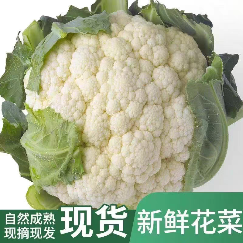 松花菜菜花花菜产地看货论价保质保量欢迎订购