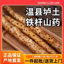 正宗垆土铁棍山药河南焦作温县特产新鲜铁杆怀山药铁棒淮山药